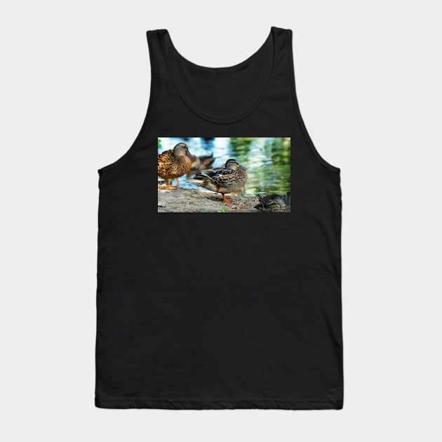 Mallard Duck Standing On One Leg Tank Top by BackyardBirder